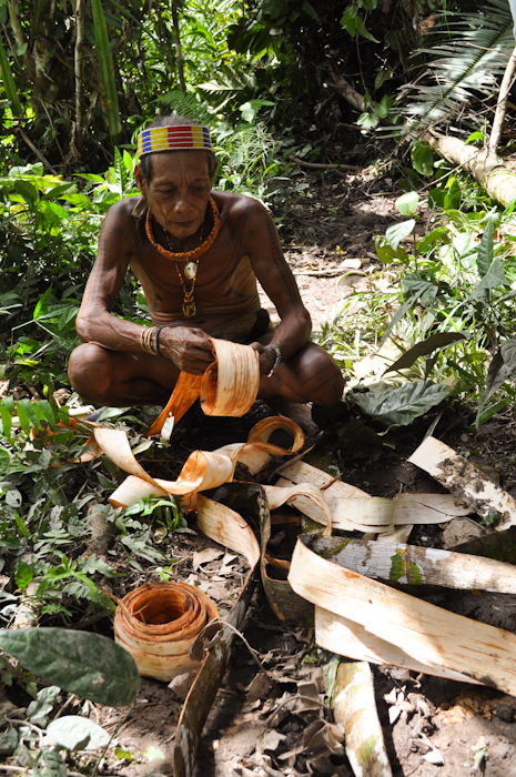 Voyage Mentawai