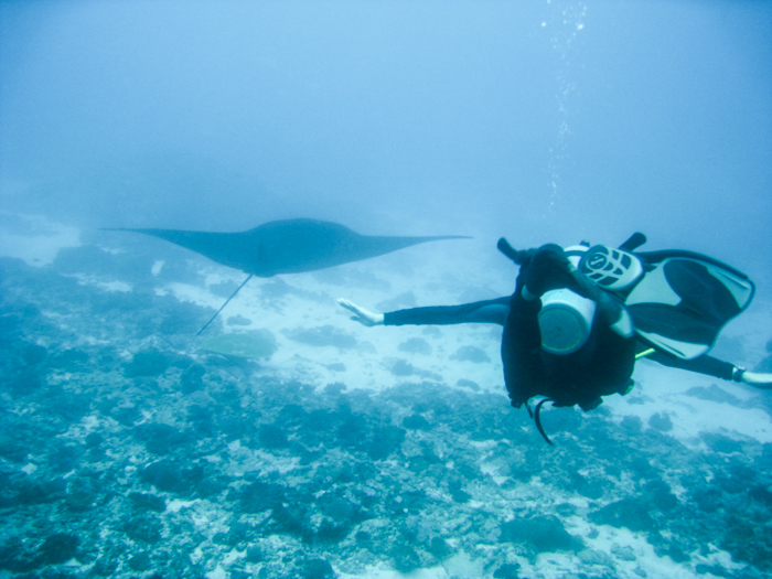 retour de voyage : plongée