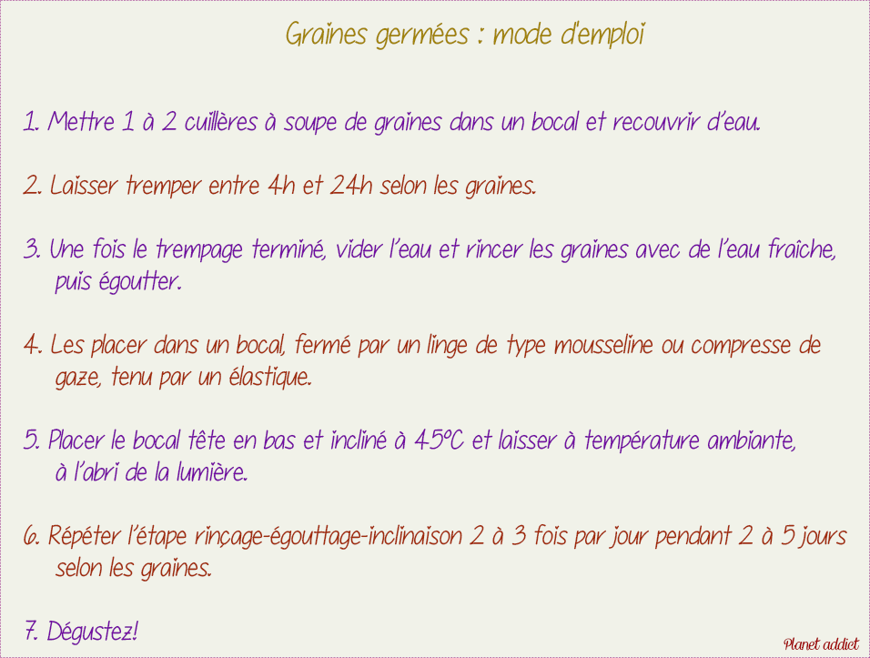 Graines germées