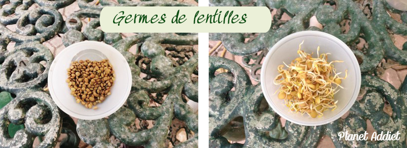 Lentilles