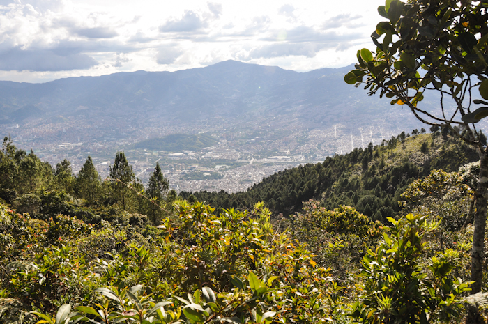 20150525-Palomino-004