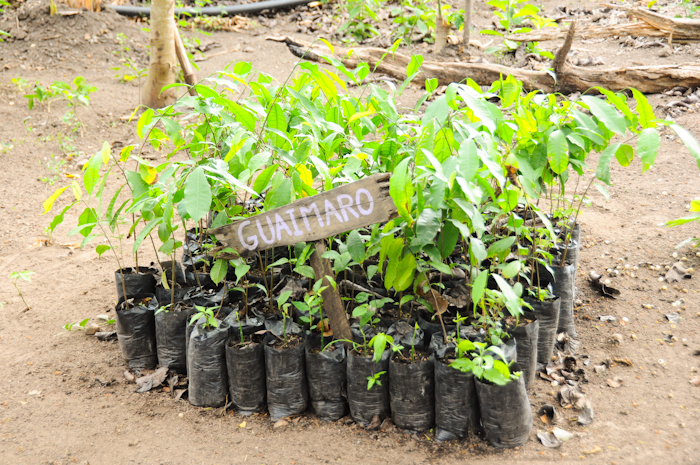 20150603-Palomino-058