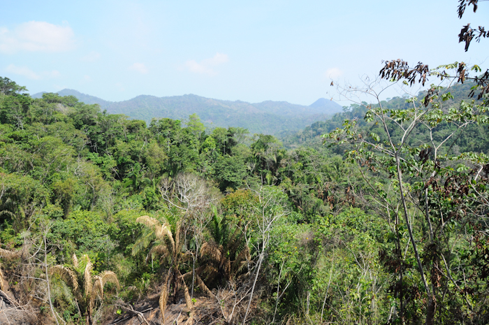 20150604-Palomino-046