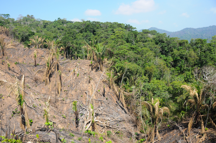 20150604-Palomino-047