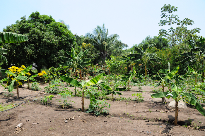 20150605-Palomino-027