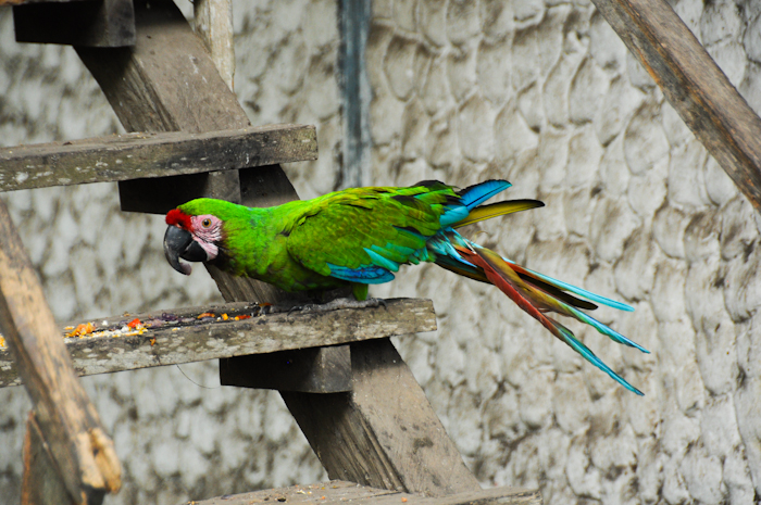 20150605-Palomino-040