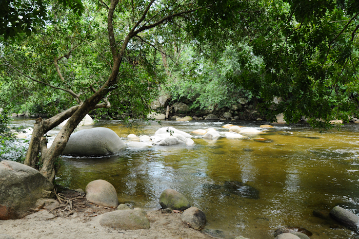 20150606-Palomino-018