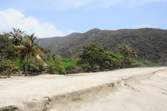 20150607-Palomino-012