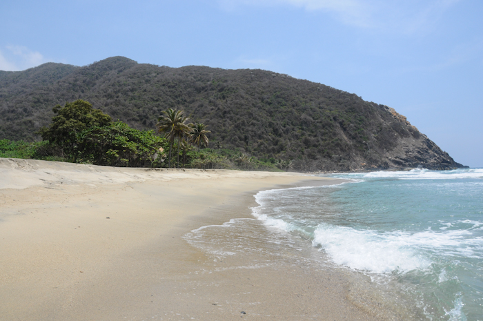 20150607-Palomino-013