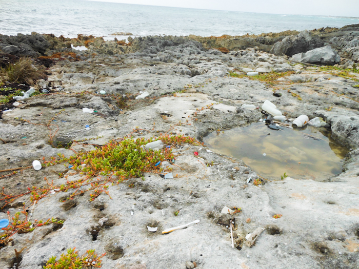 20110101-cozumel-018