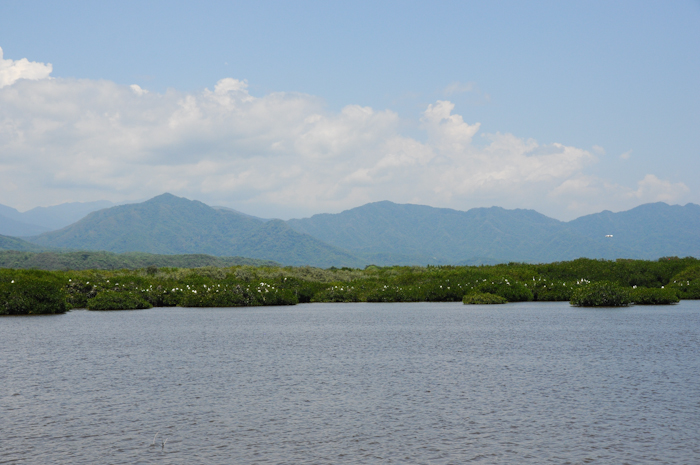 20150625-sayulita-007