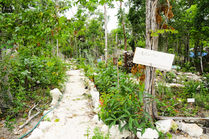 20150705-cozumel-001