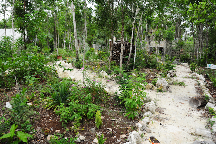 20150705-cozumel-003