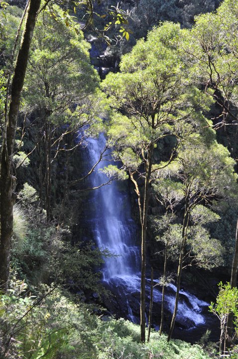Cascade2