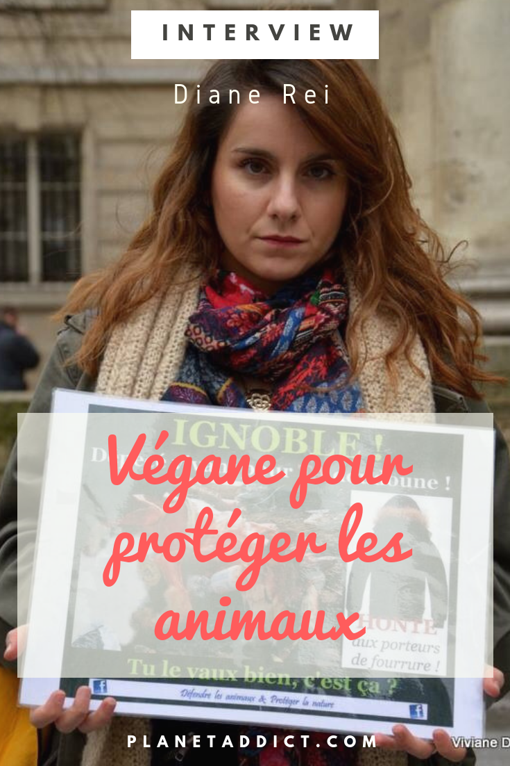 Pinterest-devenir végane