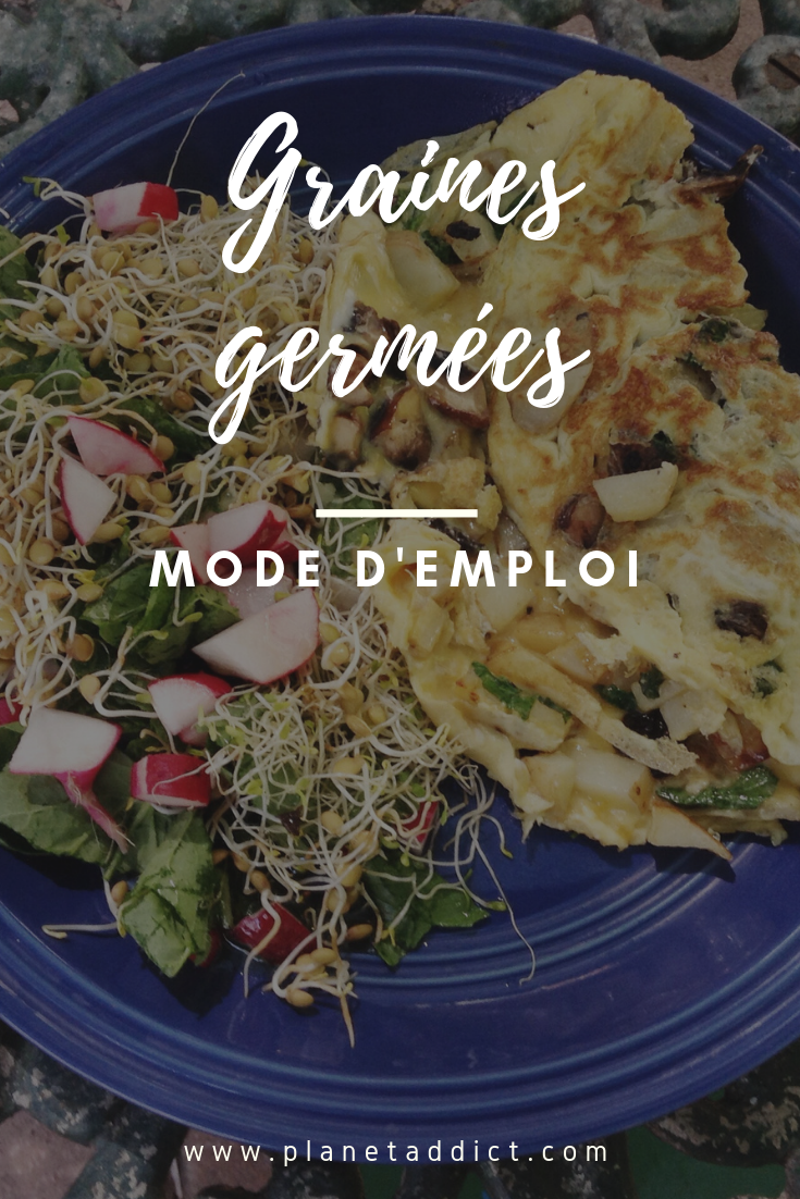 Pinterest-graines germées