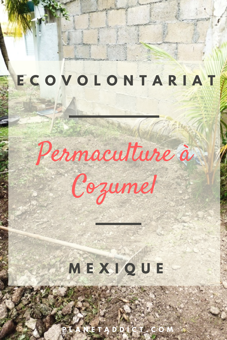 Pinterest-permaculture