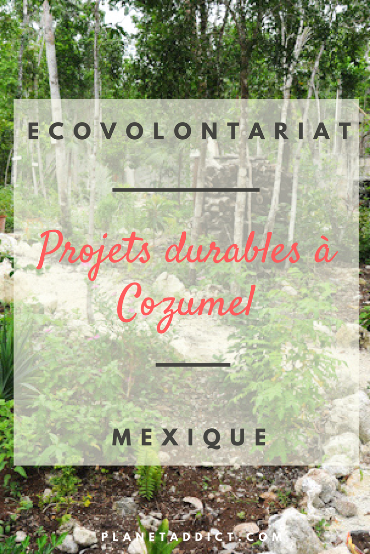 Pinterest-projets durables