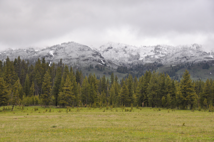 20140617-Tolerance-003