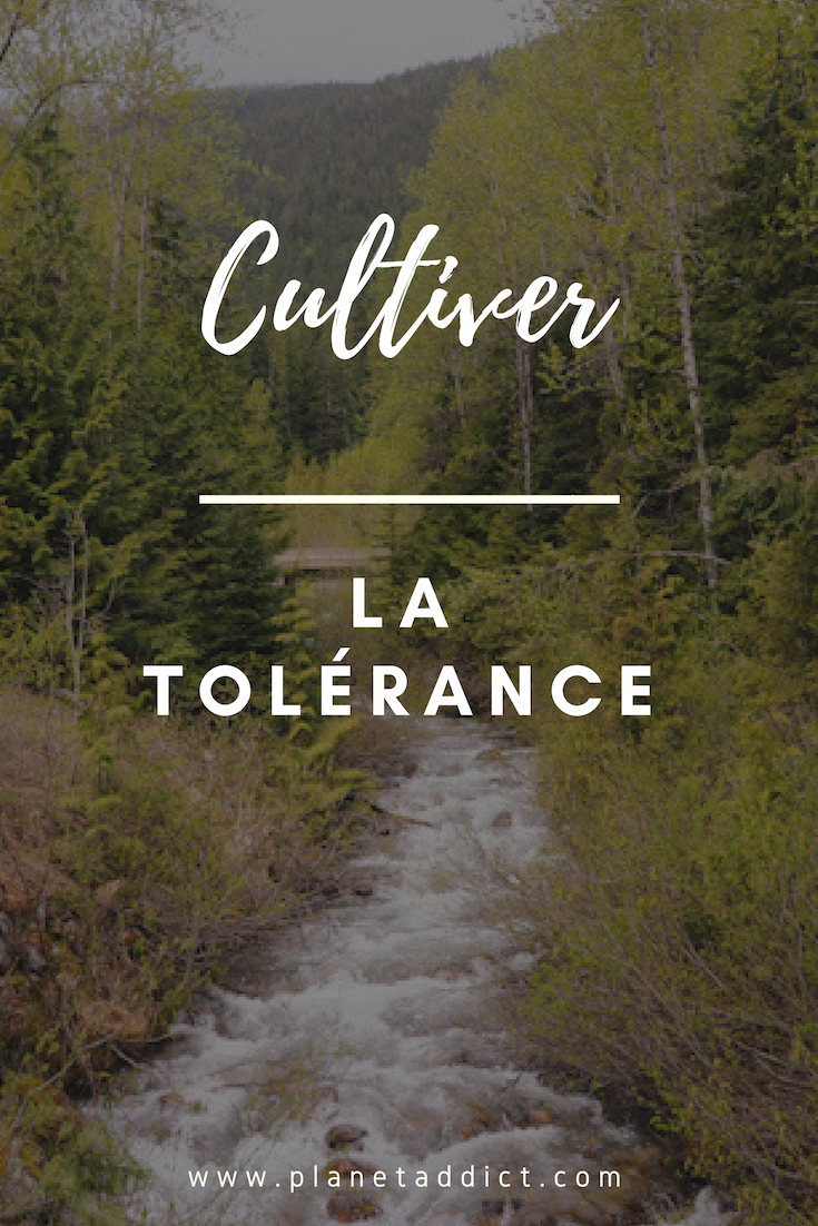 Pinterest - développer la tolérance