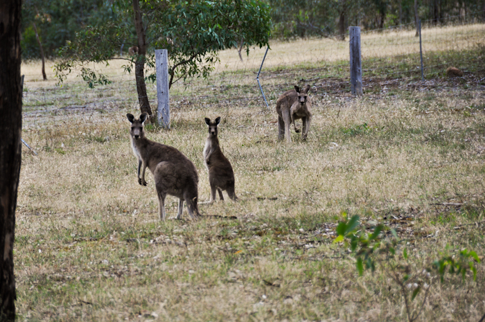 20101218-top voyage-078