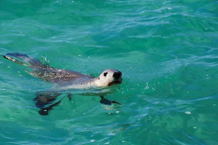 20110502-top voyage-082