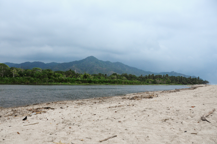 20150920-palomino2-069