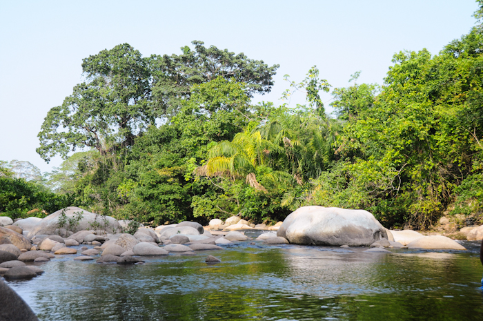 20150929-palomino2-056