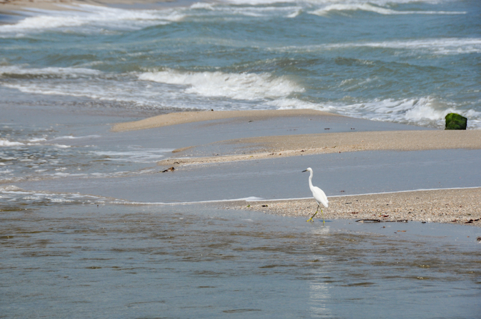 20150930-palomino2-019