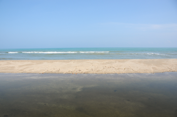 20150930-palomino2-021