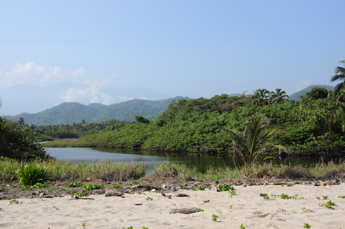 20150930-palomino2-022