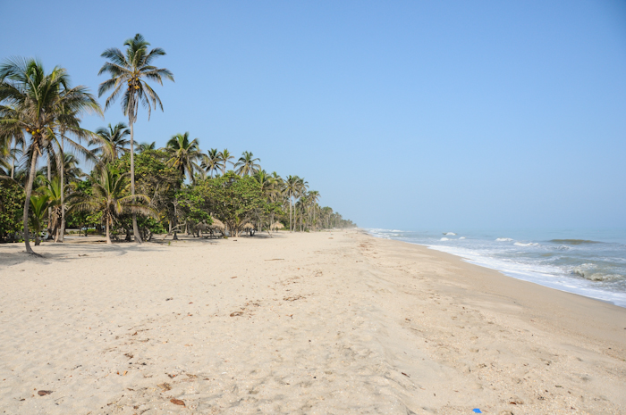 20150930-palomino2-024