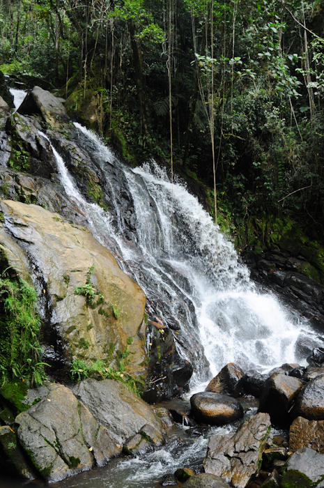 20151002-palomino2-001