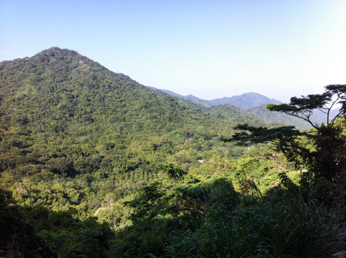 20151008-palomino2-072