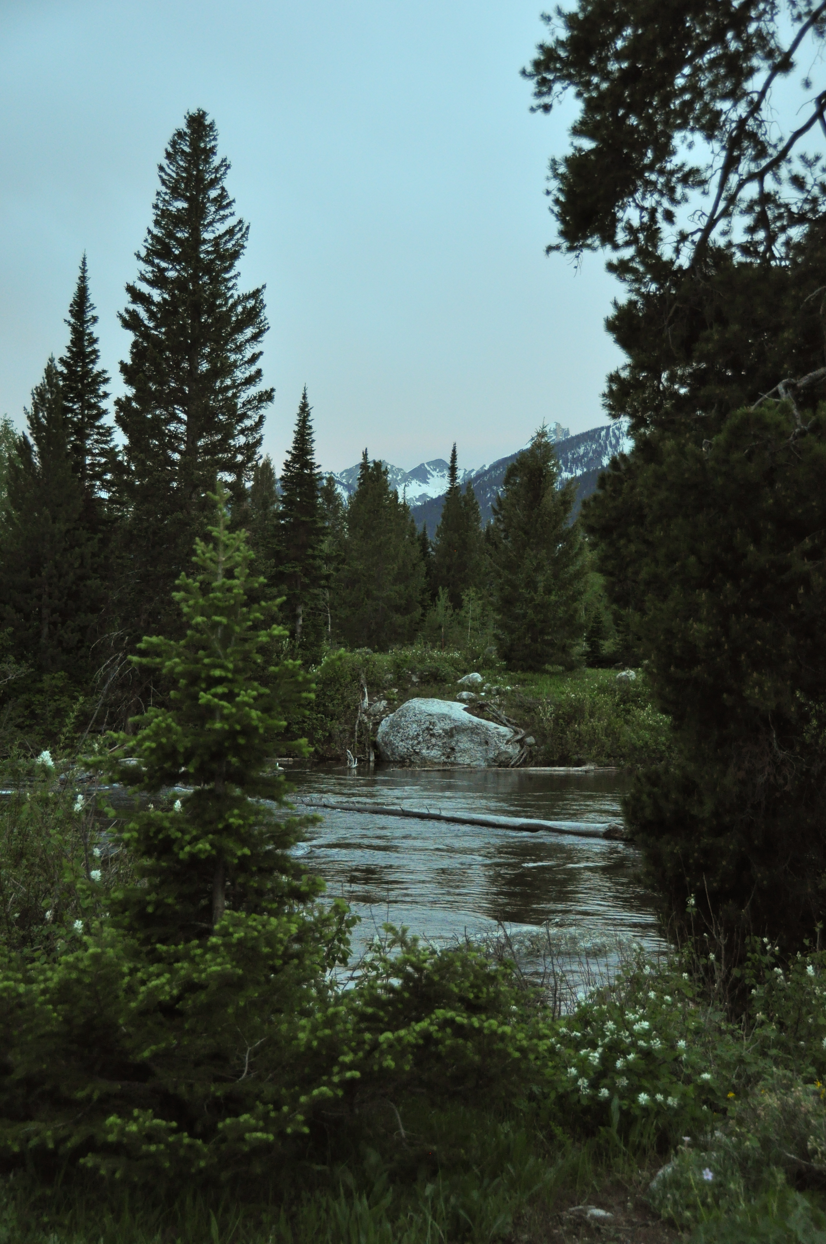 20140614-Yellowstone-005