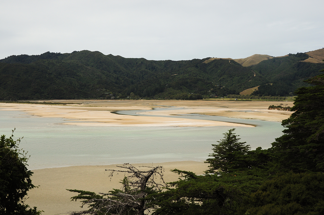 Abel Tasman_E (5)