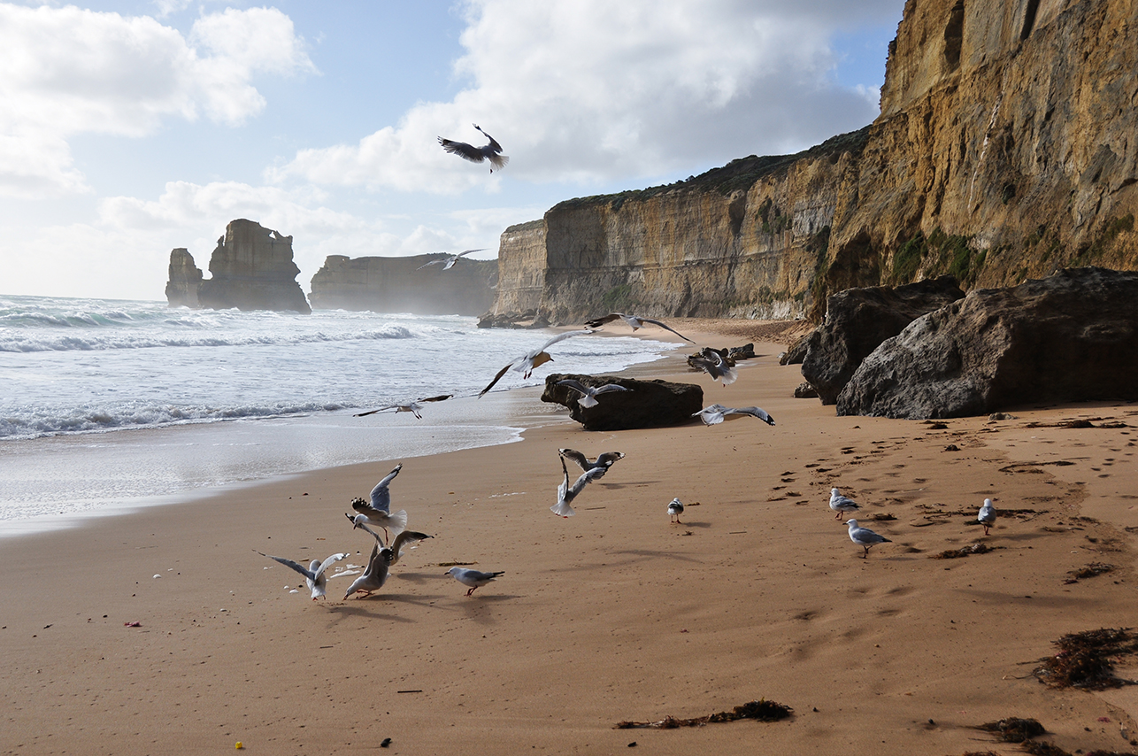 Great Ocean Road 5