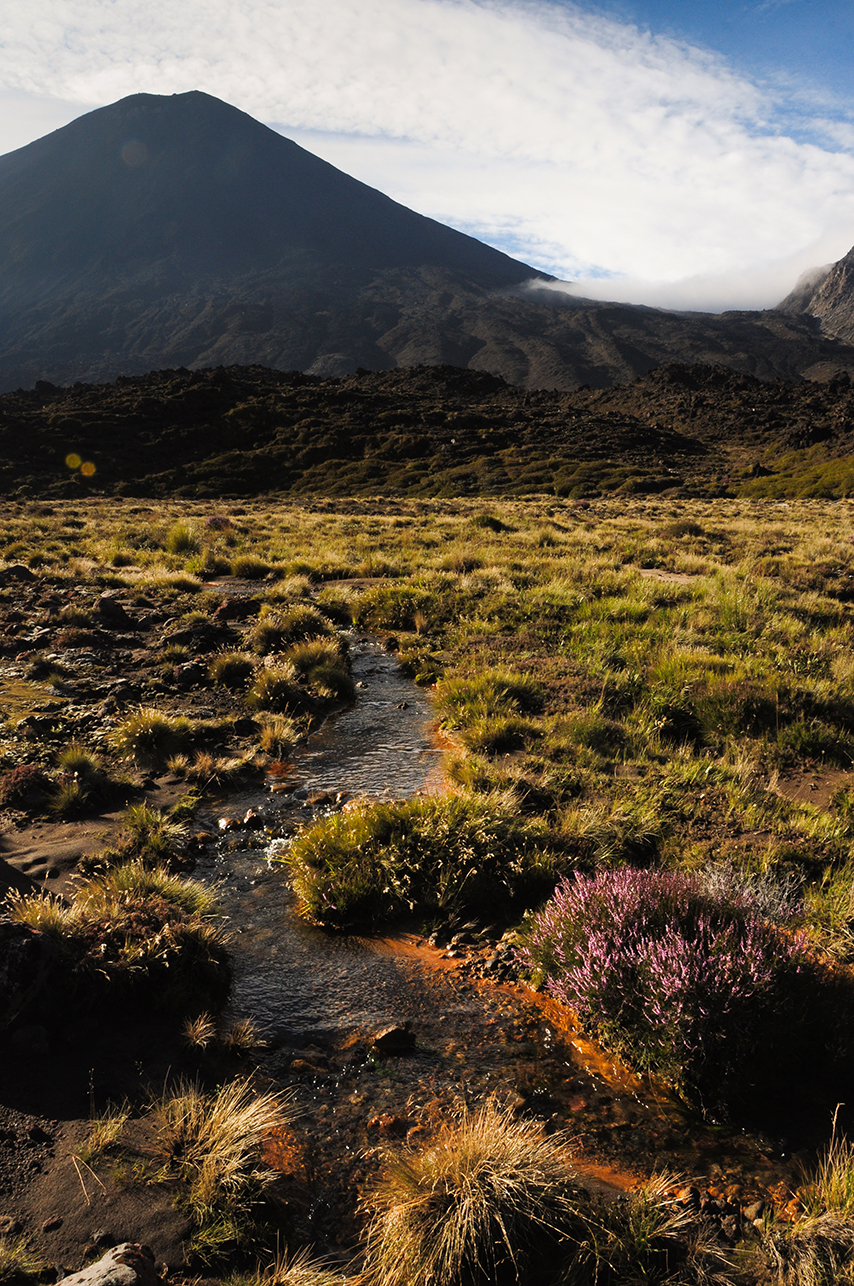 Tongariro Trek_E (3)