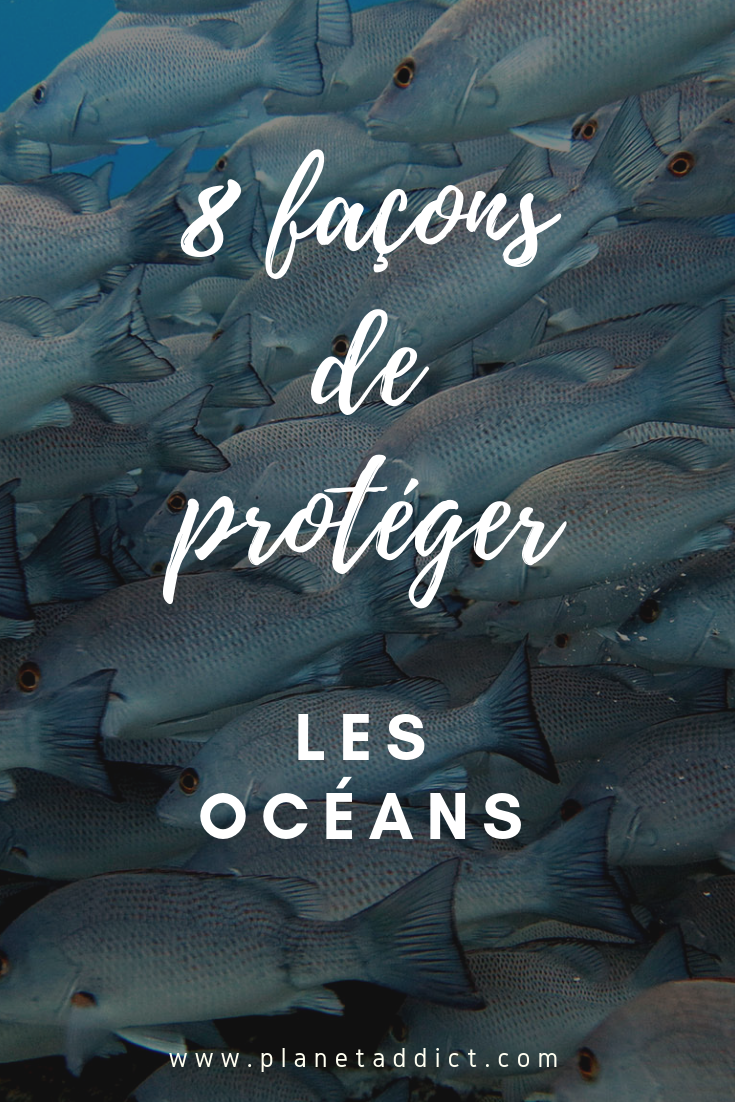 Pinterest-Protéger les océans
