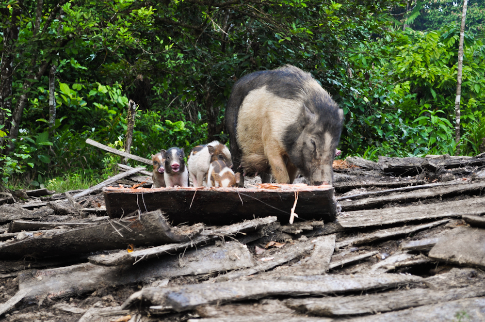 20100728-volontariat-028