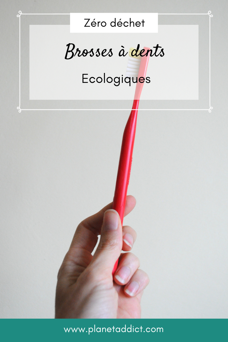 Brosses-a-dents-ecologiques-Pin