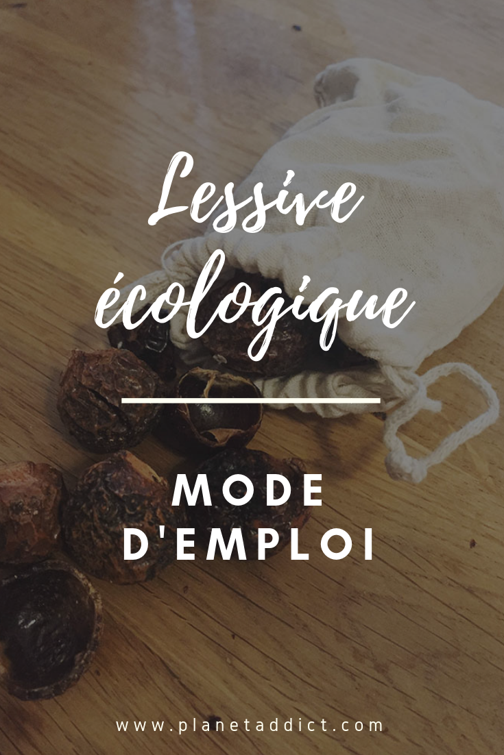 Pinterest-Lessive ecologique