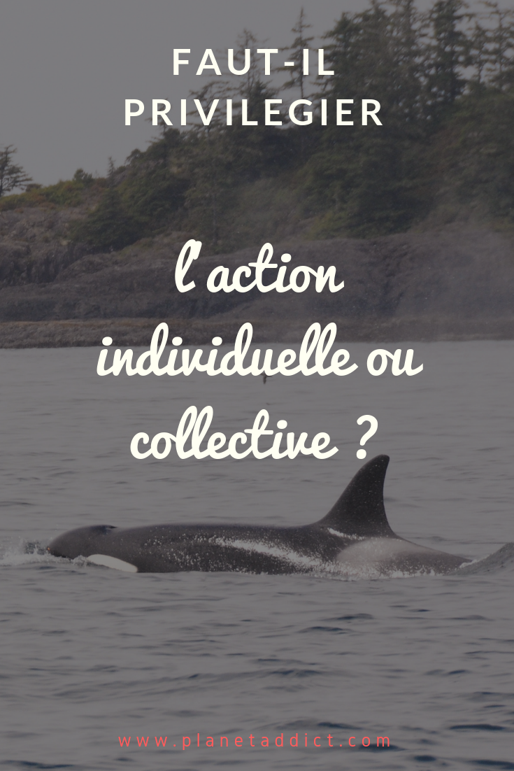 Pinterest-action collective