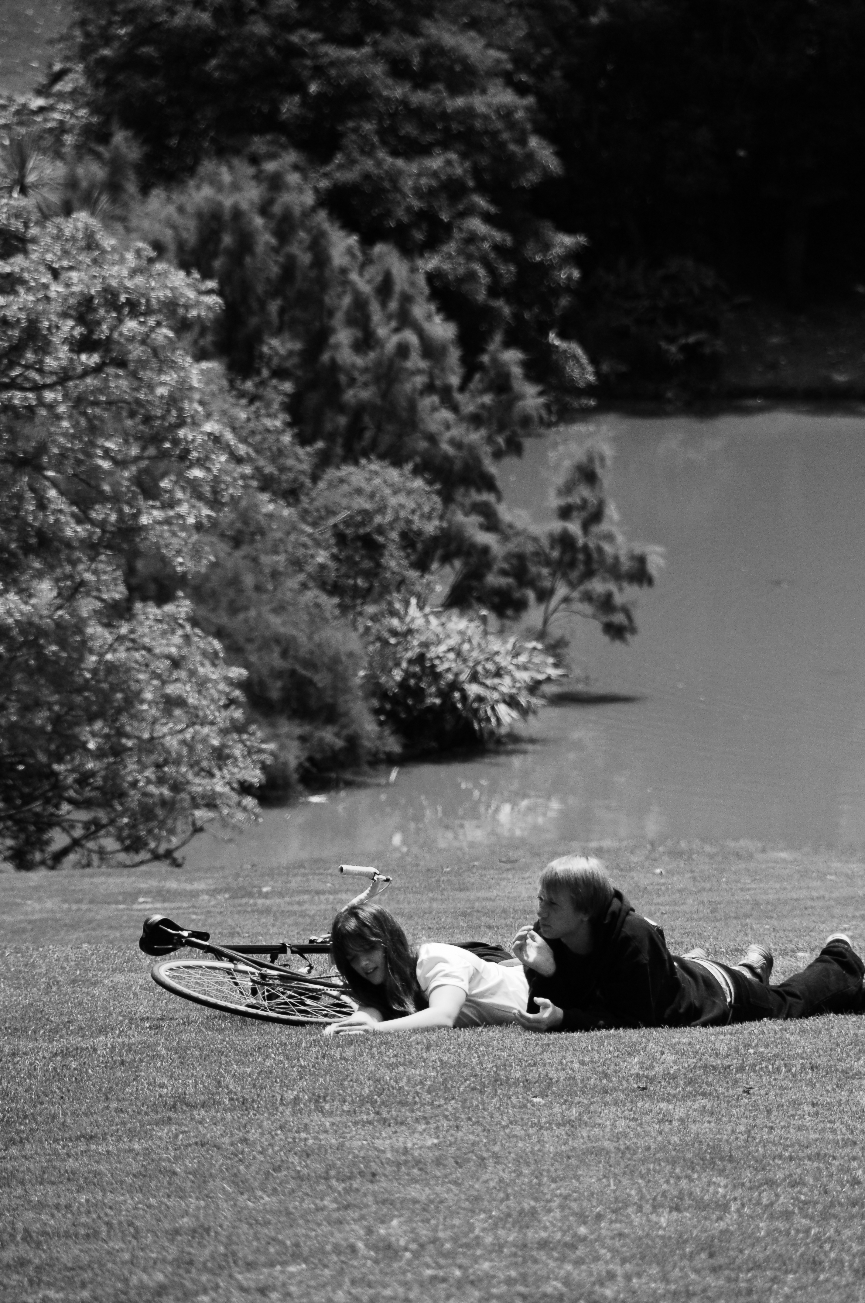 Love birds melbourne