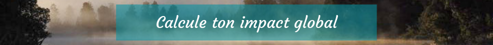 Calcul-impact-carbone
