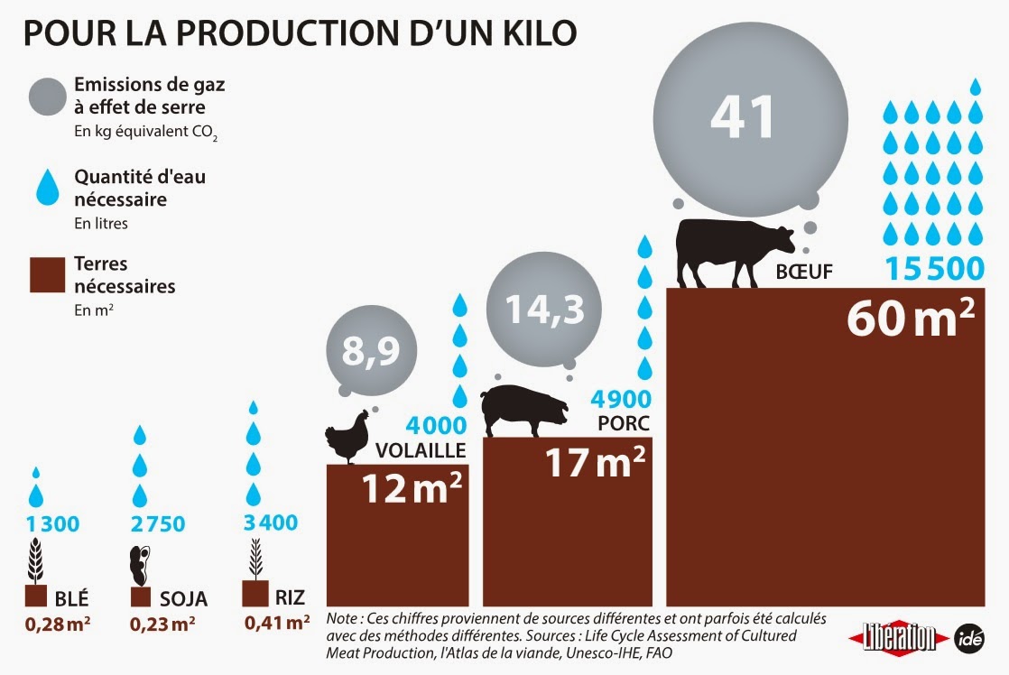 consommation-eau-viande
