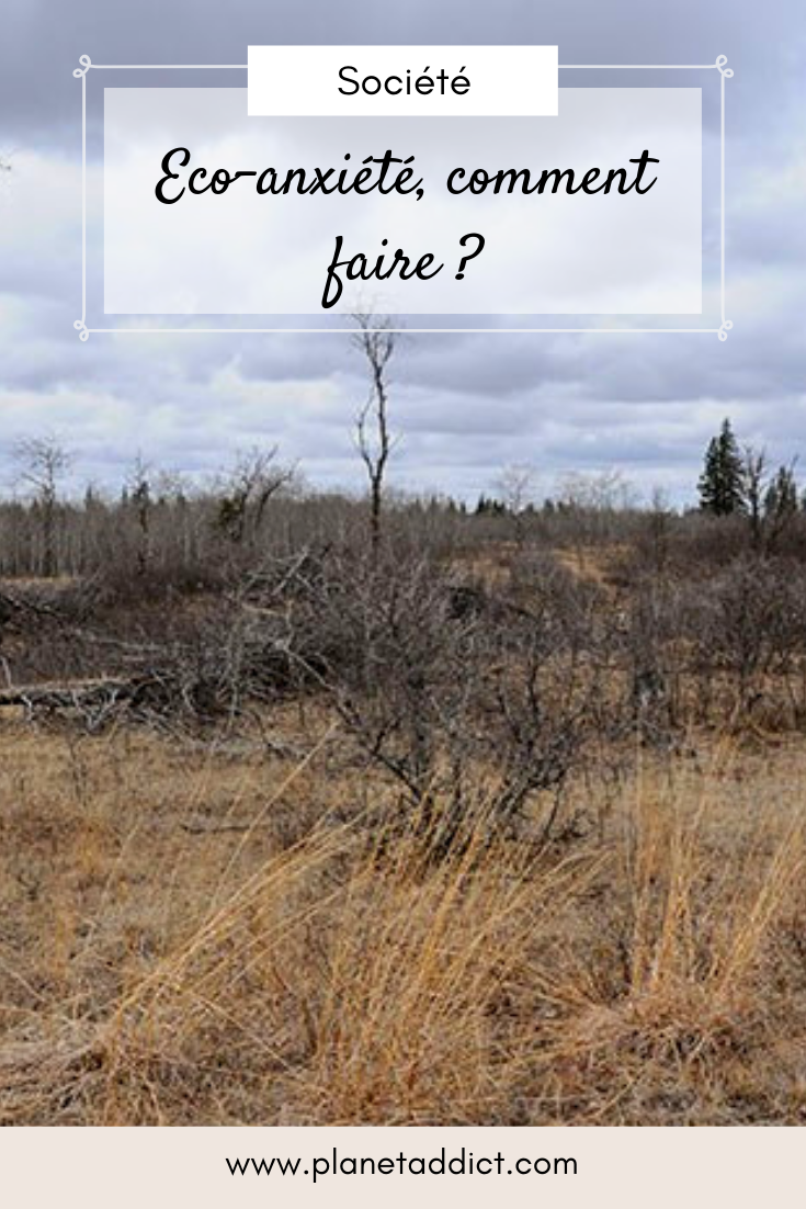 Pinterest-eco-anxiete