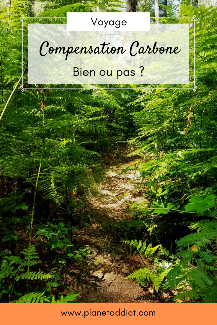 Pinterest-Compensation-carbone