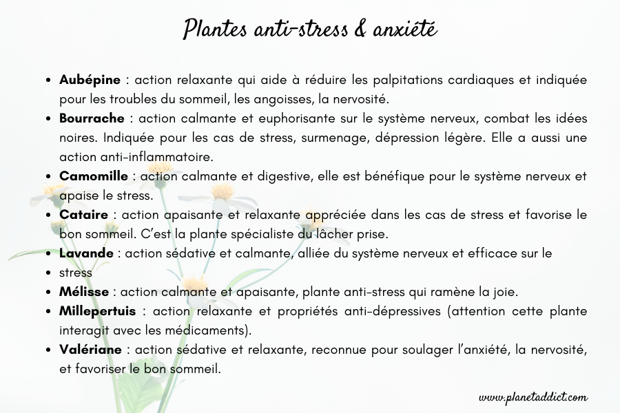 plantes-anti-stress