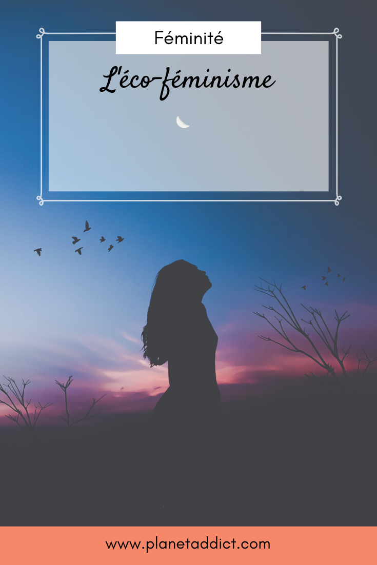 Pinterest-eco-feminisme